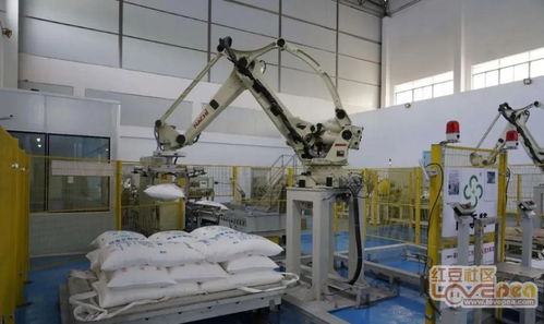防城區(qū)自動機械化助推 甜蜜事業(yè) 更甜蜜