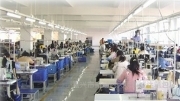 嘉興市南湖區大橋鎮誠達箱包廠簡介,電話,地址,網站-嘉興市南湖區大橋鎮誠達箱包廠