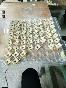 如圖電子廠產(chǎn)品包膠帶工位怎樣才能快速在11個(gè)小時(shí)內(nèi)完成2000個(gè)產(chǎn)量產(chǎn)品,而且不能包出不良品,規(guī)定
