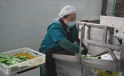 遵義有個配料 小巨人 每年生產1.5億包方便面泡椒包